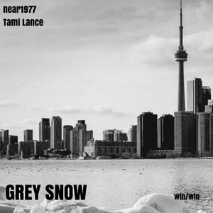 Grey Snow