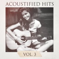 Summer Of '69 Acoustic Cover_Bryan Adams