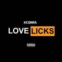 Love Licks_The Black Box Revelation