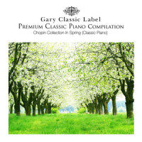 Fantaisie Impromptu_Chopin