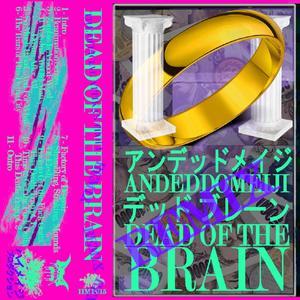 Welcome To The Slaughterhouse