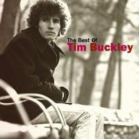 Morning Glory_Tim Buckley