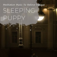 Dreams Of Love_Bert Jansch