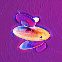 O What a Nite_Unknown