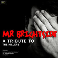 mr britside_The Killers