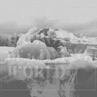 The Here and Hereafter_If These Trees Could Talk