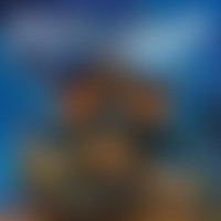 Die For Metal_Manowar