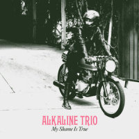 She Lied To The Fbi_Alkaline Trio