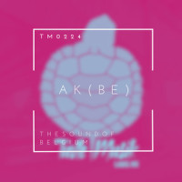 Antwerpen_Enter Shikari