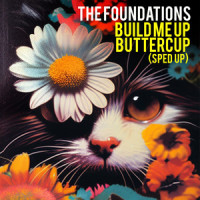 Build Me Up Buttercup_Foundations