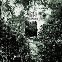 Contigo Sin Ti_Saratoga