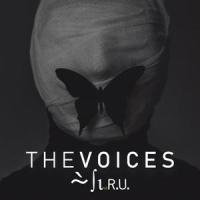 Wanderer Above The Sea Of Fog_Wolves In The Throne Room