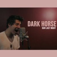 Dark Horse_Our Last Night