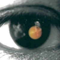 22_User Upload
