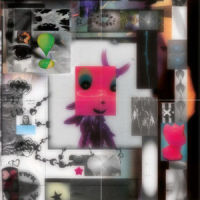 Life Of A Fly_Buckethead