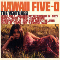 Theme From A Summer Place_The Ventures