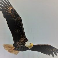 Flight of Icarus (Revised)_Iron Maiden