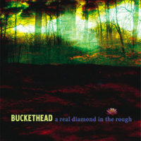 A Real Diamond In The Rough_Buckethead