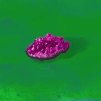 Amethyst_Manhattan Project