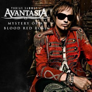 Mystery Of A Blood Red Rose