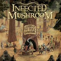 Herbert the Pervert (Only Guitar)_Infected Mushroom
