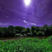 Freddy Kreuger_Reuben