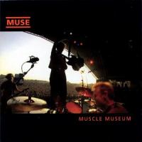 Agitated_Muse