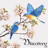 Whipping Boy_The Bridge Between Us
