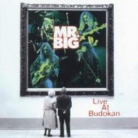 Fool Us Today_Mr. Big