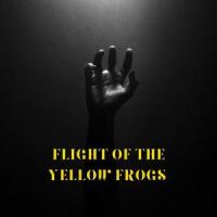 Flight of the yellow koala_Flight Of The Yellow Koala