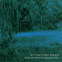 Solace (Drop A)_Within The Ruins