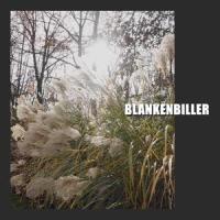 Disenfranchised Owl_Bill Bailey