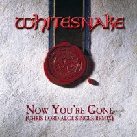 Now You're Gone_Whitesnake