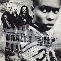 Brazen_Skunk Anansie