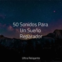 Ejercicio 1_Gustavo Fantino