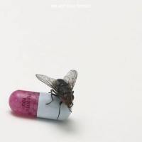 Brendan's Death Song_Red Hot Chili Peppers