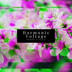 Harmonic Voltage (Transcribed by Wasdernoob)