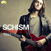 Schism - drop C_Tool