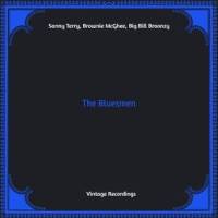 St Louis Blues_Big Bill Broonzy