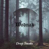 Breath Drop A# & string_Breaking Benjamin