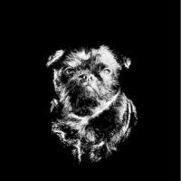 Blackened Waters_Black Label Society