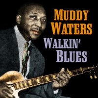 I Can't Be Satisfied_Muddy Waters