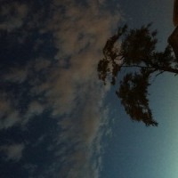 suicide type beat_Muth