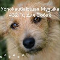 Бегущий Человек_My Autumn