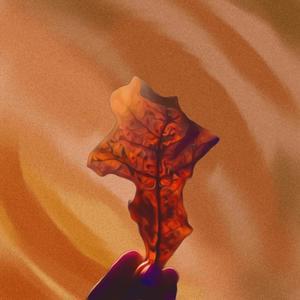 Reflections Through Fire