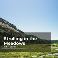 Meadows Of Silence_Extol