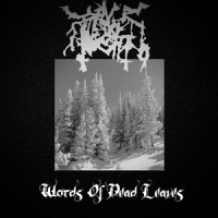 Darkness Of The Forest_Brain Drain