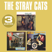 Rumble In Brighton_Stray Cats