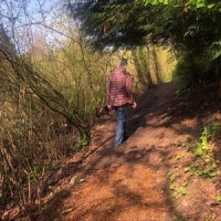 Bumble Bee Blues_Tampa Red