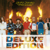 I Never Dreamed_Lynyrd Skynyrd